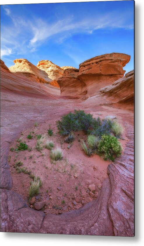 Desert Metal Print featuring the photograph Desert Oasis by Darren White
