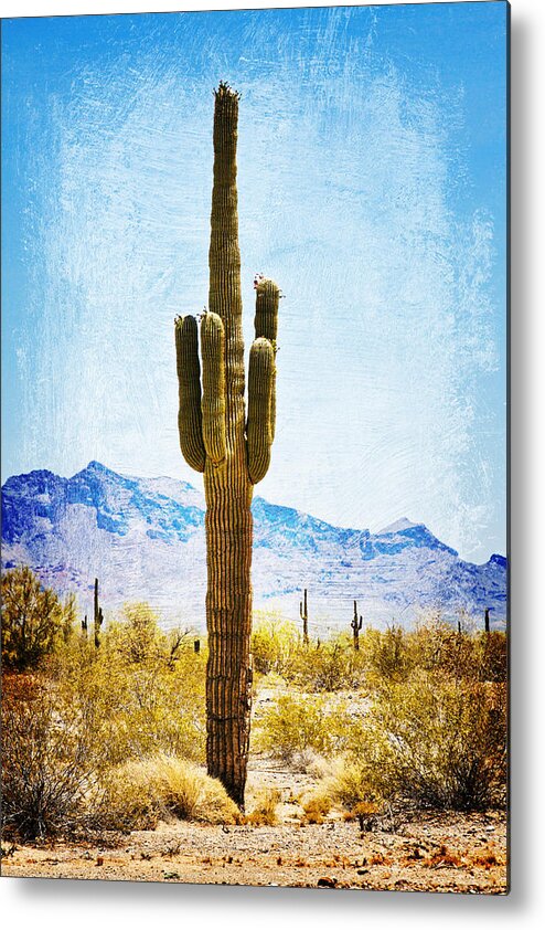 Saguaro Cactus Metal Print featuring the digital art Desert Sentinel by Tatiana Travelways