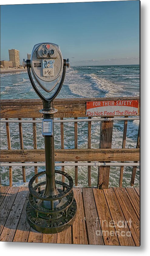 Ocean Metal Print featuring the photograph Do Not Feed The Birds by Deborah Benoit