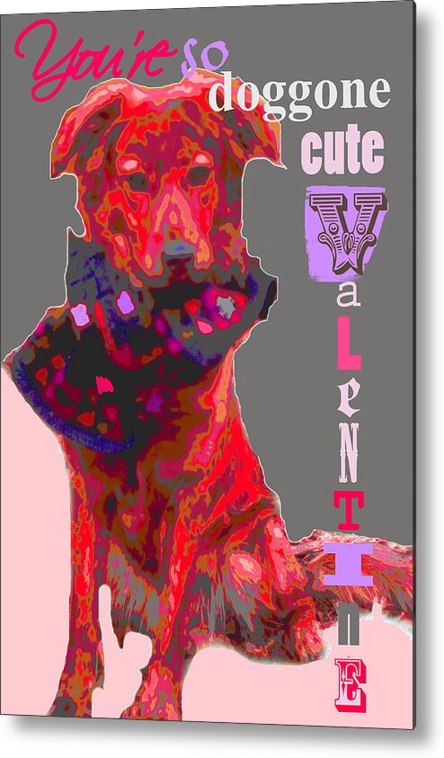 Dog Valentine Metal Print featuring the photograph Doggone Cute Valentine by Suzanne Powers