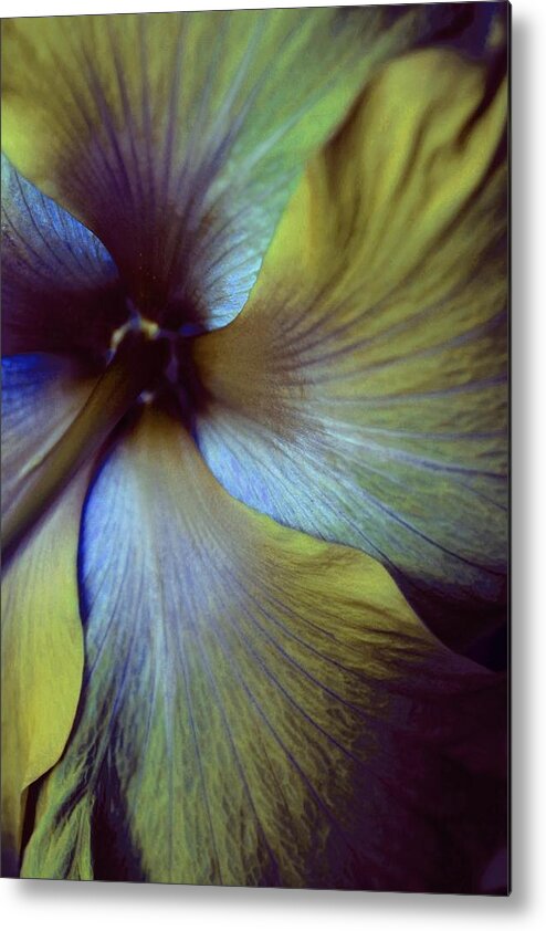 Metal Print featuring the photograph Dramatic by The Art Of Marilyn Ridoutt-Greene