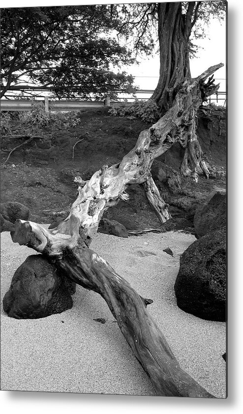 Wood Metal Print featuring the photograph Drift Wood by Gary Gunderson
