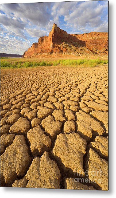 00345494 Metal Print featuring the photograph Drought Glen Canyon Utah by Yva Momatiuk John Eastcott