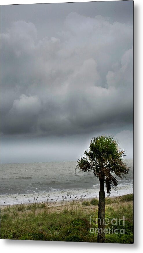 Culture Metal Print featuring the photograph Edisto Haze by Skip Willits