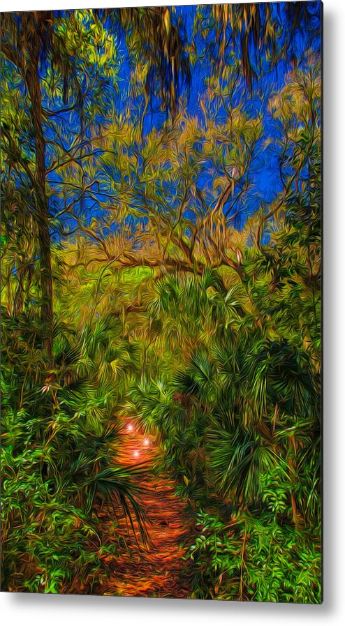 Landscape Metal Print featuring the photograph Enchanted Forest by John M Bailey