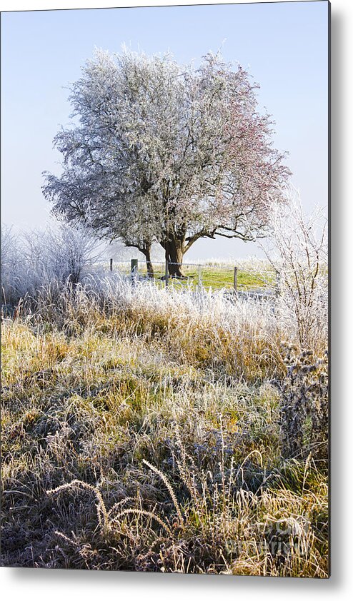 Amazing Metal Print featuring the photograph Enchanting snow covered landscape by Jorgo Photography