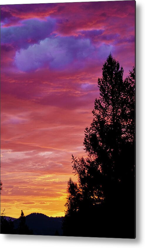 Sunrise Metal Print featuring the photograph Exploding Color by Loni Collins