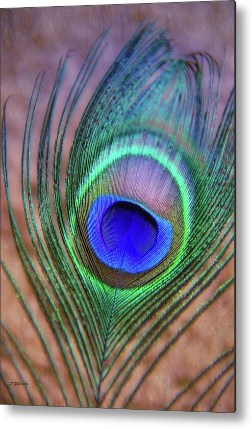 Peacock Metal Print featuring the photograph Eye of the Peacock by Pamela Williams