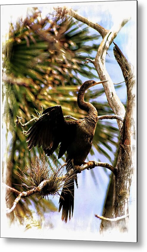 Cormorant Metal Print featuring the photograph Facing the Sun 2 by Sheri McLeroy