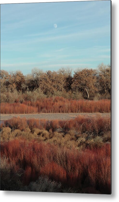Fall Metal Print featuring the photograph Fall Colors in the Bosque by David Diaz