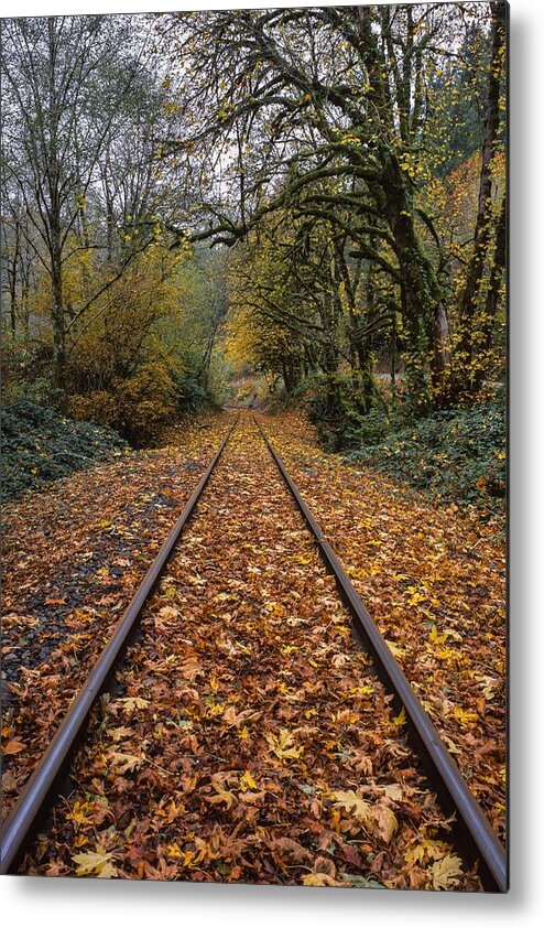 Tracks Metal Print featuring the photograph Fall on the Tracks by HW Kateley