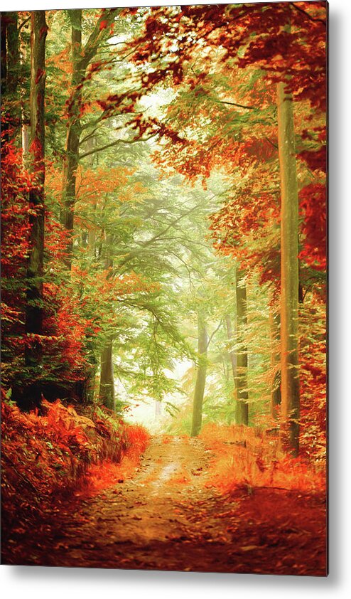 Autumn Metal Print featuring the photograph Fall painting by Philippe Sainte-Laudy