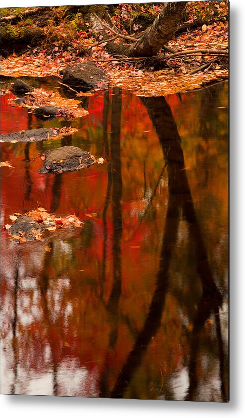 Autumn Metal Print featuring the photograph Fall Reflections Along The Rawdon River #1 by Irwin Barrett