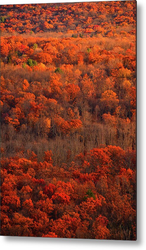 Fall Trees Along The At Metal Print featuring the photograph Fall Trees along the AT by Raymond Salani III
