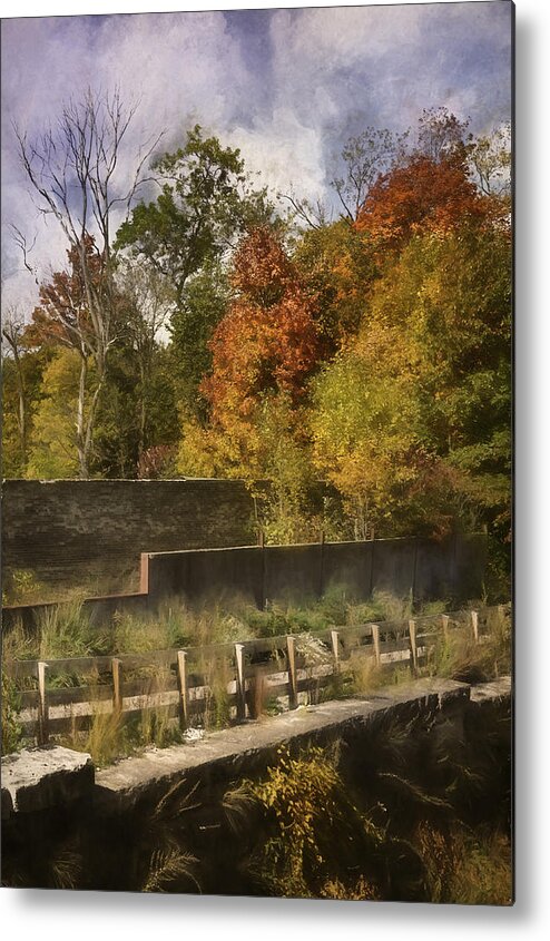  365 Project Metal Print featuring the photograph Fiery Autumn by Scott Norris