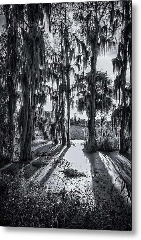 Crystal Yingling Metal Print featuring the photograph Filtered Light by Ghostwinds Photography