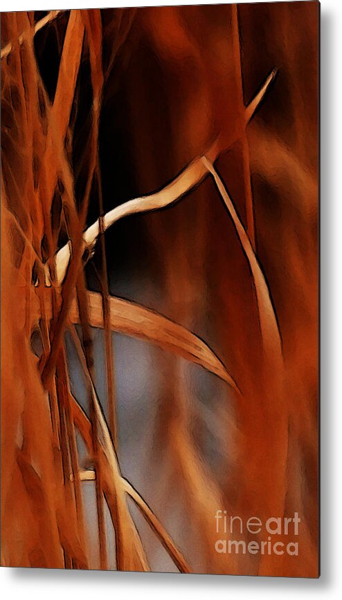 Flame Metal Print featuring the photograph Flame by Linda Shafer