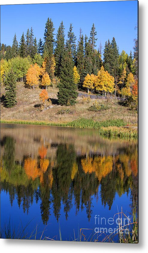 Autumn Colors Metal Print featuring the photograph Flip Flop by Jim Garrison