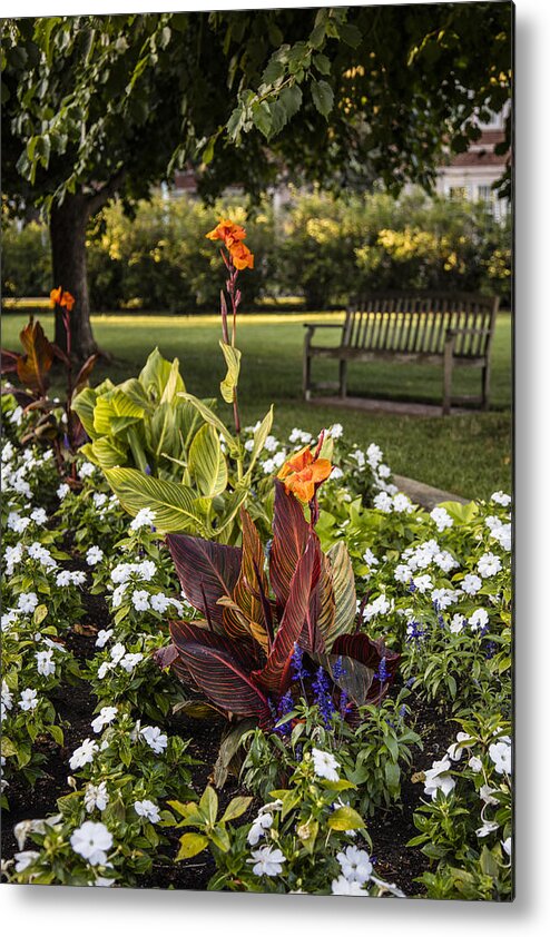 Michigan State Metal Print featuring the photograph Flowers and Bench MSU by John McGraw