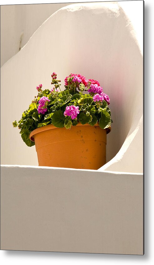 Plants Pottery Stil Life Capri Italy Mediterranean Metal Print featuring the photograph Flowers And White Wall by Xavier Cardell