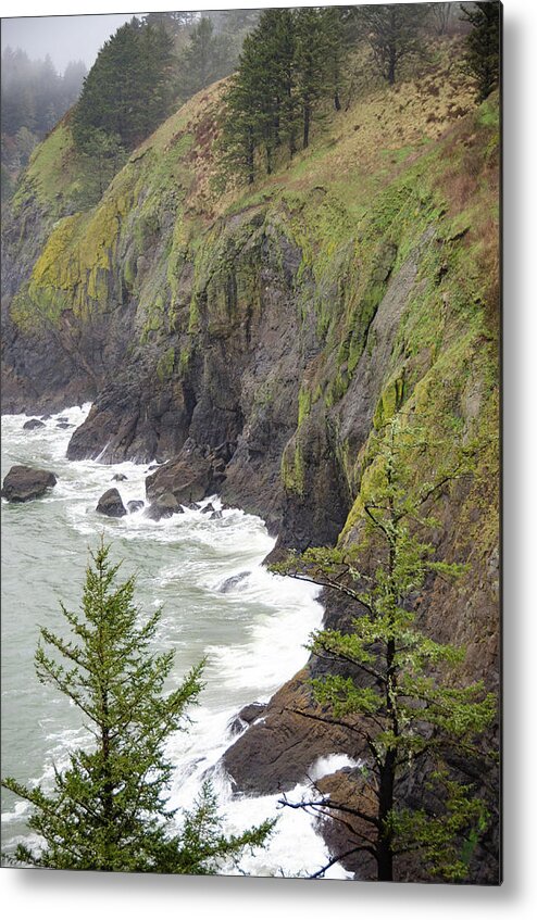 Cape Metal Print featuring the photograph Foggy Evening at Cape Disappointment by Anthony Doudt