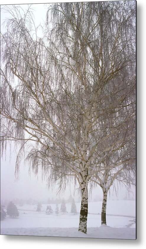 Nature Metal Print featuring the photograph Foggy Morning Landscape 12 by Steve Ohlsen