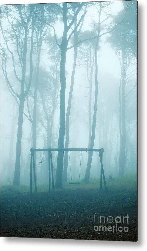 Abandoned Metal Print featuring the photograph Foggy Swing by Carlos Caetano