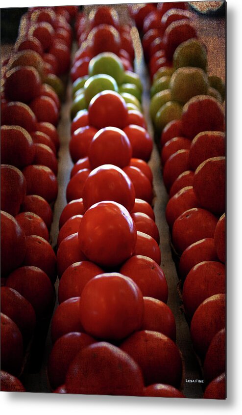 Tomatoes Metal Print featuring the photograph Food Tomatoes Marching Maters by Lesa Fine