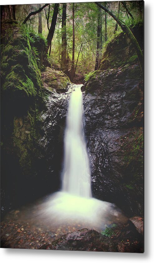 Mill Valley Metal Print featuring the photograph For All the Things I've Done by Laurie Search