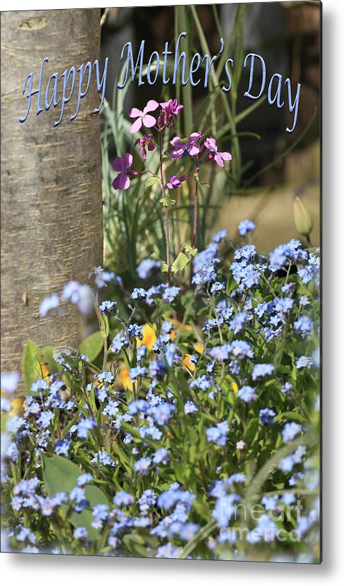 Myosotis Metal Print featuring the photograph Forget-Me-Not on Mother's Day by Terri Waters