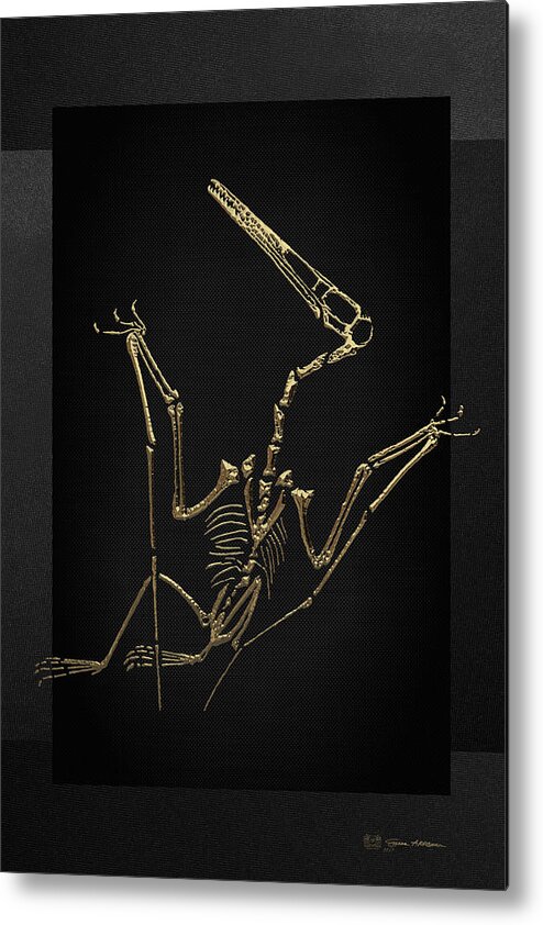 'fossil Record' Collection By Serge Averbukh Metal Print featuring the digital art Fossil Record - Gold Pterodactyl Fossil on Black Canvas #4 by Serge Averbukh