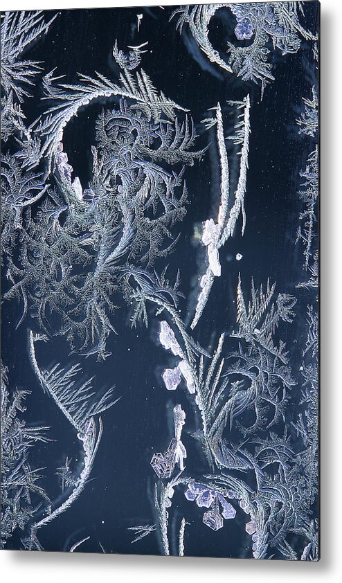 Frost Macro Metal Print featuring the photograph Frost Series 7 by Mike Eingle