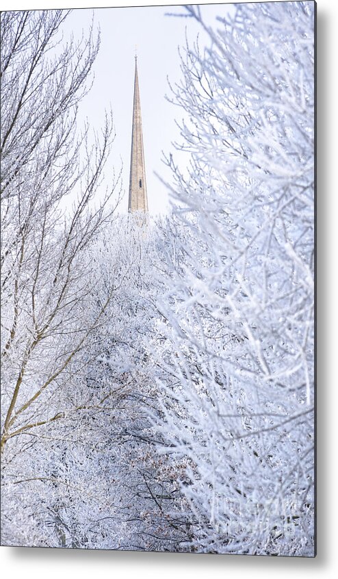 Andrew's Metal Print featuring the photograph Frosty morning by Andrew Michael