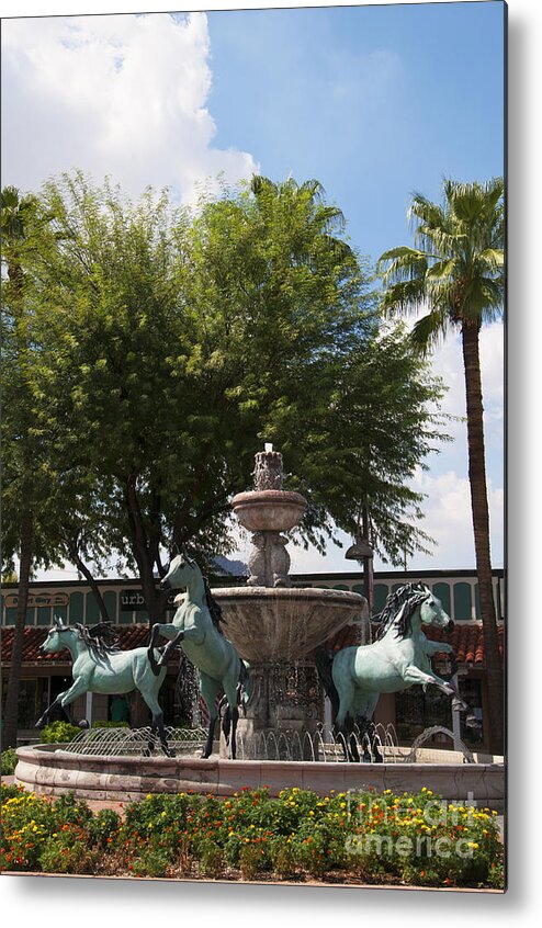 Arizona Metal Print featuring the photograph Galloping Water Horses by Brenda Kean