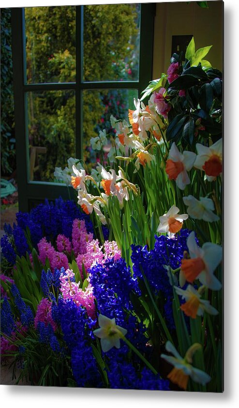 Tulips Metal Print featuring the photograph Garden house delight at Filoli by Patricia Dennis