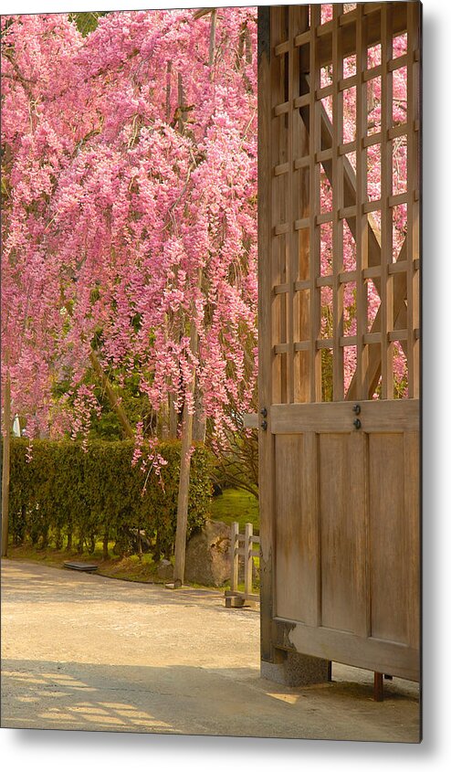 Japan Metal Print featuring the photograph Gate by Sebastian Musial
