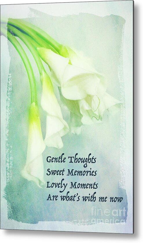 Calla Metal Print featuring the photograph Gentle Thoughts by Marilyn Cornwell