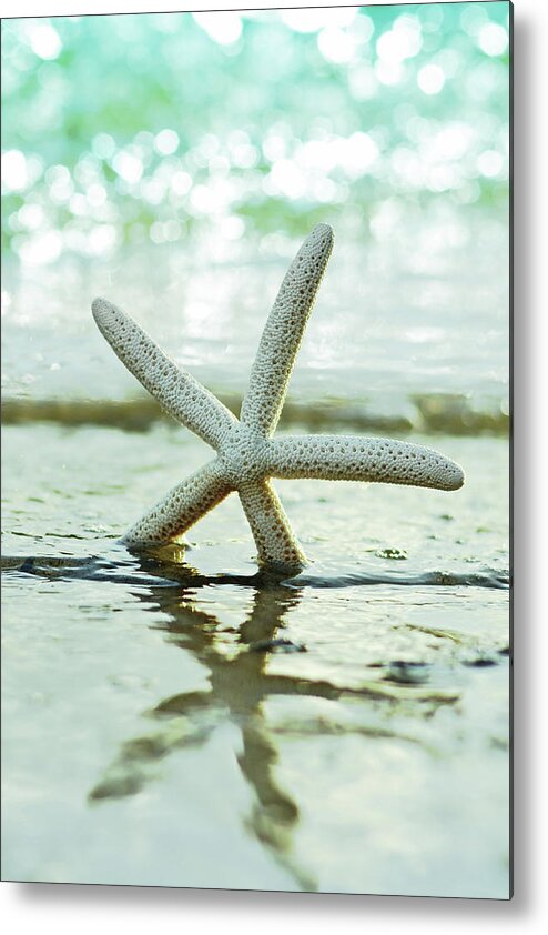 Seastar Metal Print featuring the photograph Get Your Feet Wet by Laura Fasulo