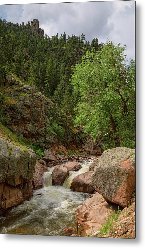 Canyon Metal Print featuring the photograph Getting Lost In A Canyon Creek by James BO Insogna