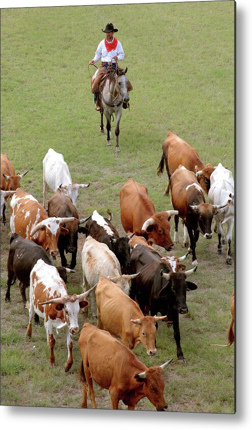 Cowboys Metal Print featuring the photograph Git Along Little Dogies by Toni Hopper