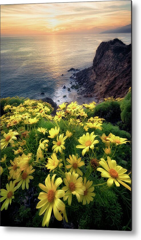 California Metal Print featuring the photograph Glowing Flowers by Nicki Frates