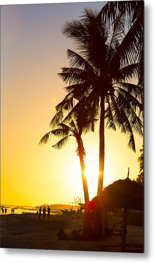 Palm Metal Print featuring the photograph Golden Beach Tropics by James BO Insogna