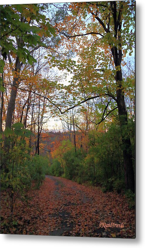 Golden Hour Of Autumn Metal Print featuring the photograph Golden Hour of Autumn by PJQandFriends Photography