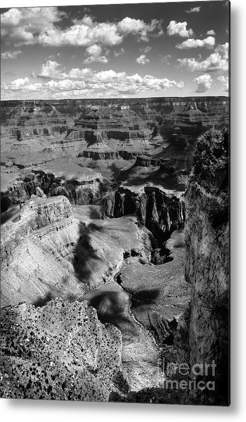 Grand Canyon Metal Print featuring the photograph Grand Canyon BW by RicardMN Photography