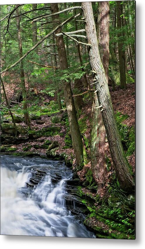 Waterfall Metal Print featuring the photograph Grayville Falls Study Vertical by Allan Van Gasbeck