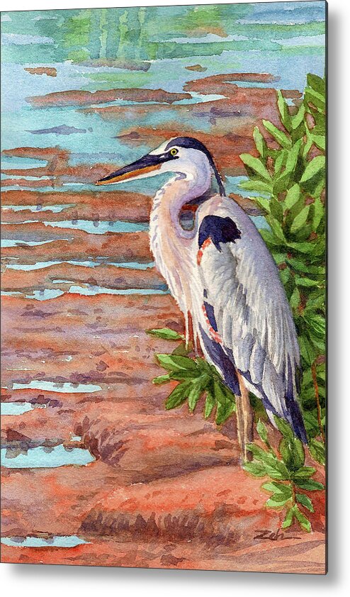 Great Blue Heron Metal Print featuring the painting Great Blue Heron in a Marsh by Janet Zeh