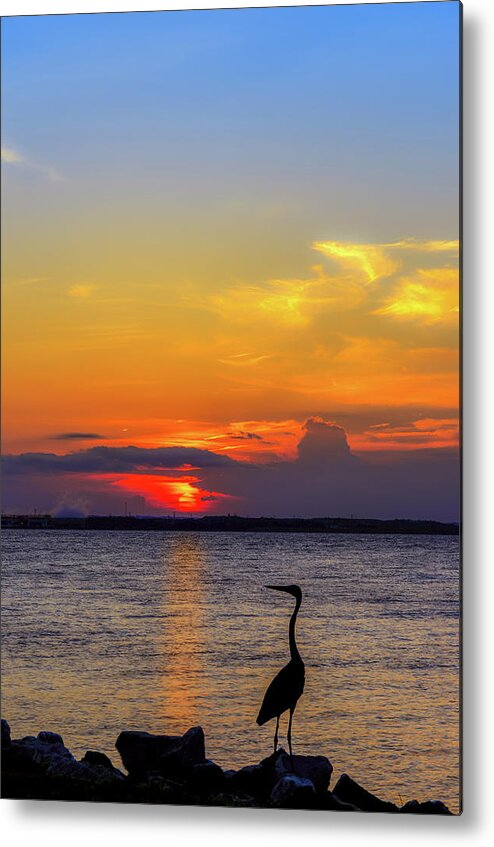 Ardea Herodias Metal Print featuring the photograph Great Blue Heron Silhouette by Patrick Wolf