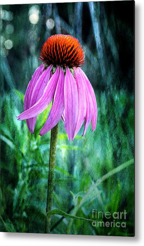 Pink Coneflower Metal Print featuring the photograph Growing Wild And Free by Michael Eingle