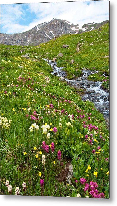 Handie's Peak Metal Print featuring the photograph Handie's Peak and Alpine Meadow by Cascade Colors