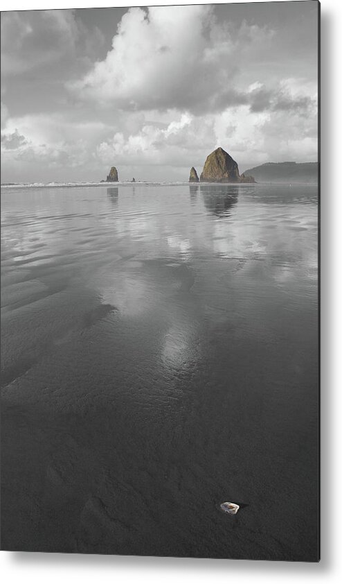 Haystack Shell Metal Print featuring the photograph Haystack Shell by Dylan Punke
